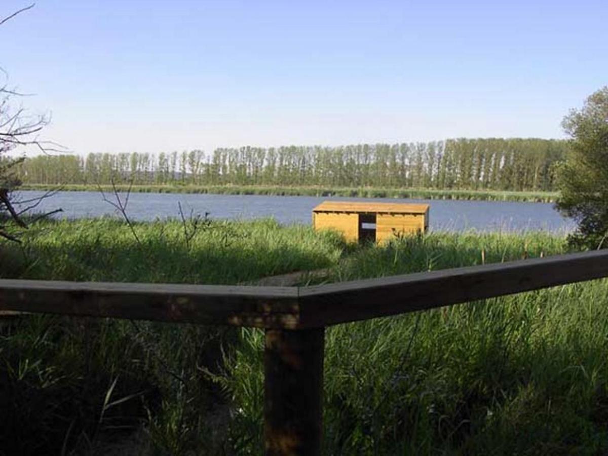 Beautiful Alamedas - Una Casa Rural Con Una Historia Unica Кастронунио Экстерьер фото