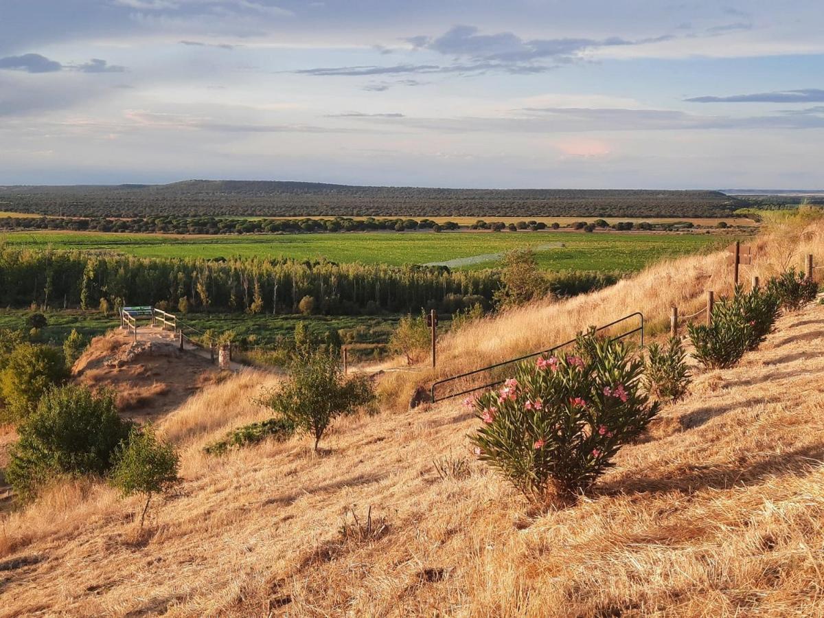 Beautiful Alamedas - Una Casa Rural Con Una Historia Unica Кастронунио Экстерьер фото