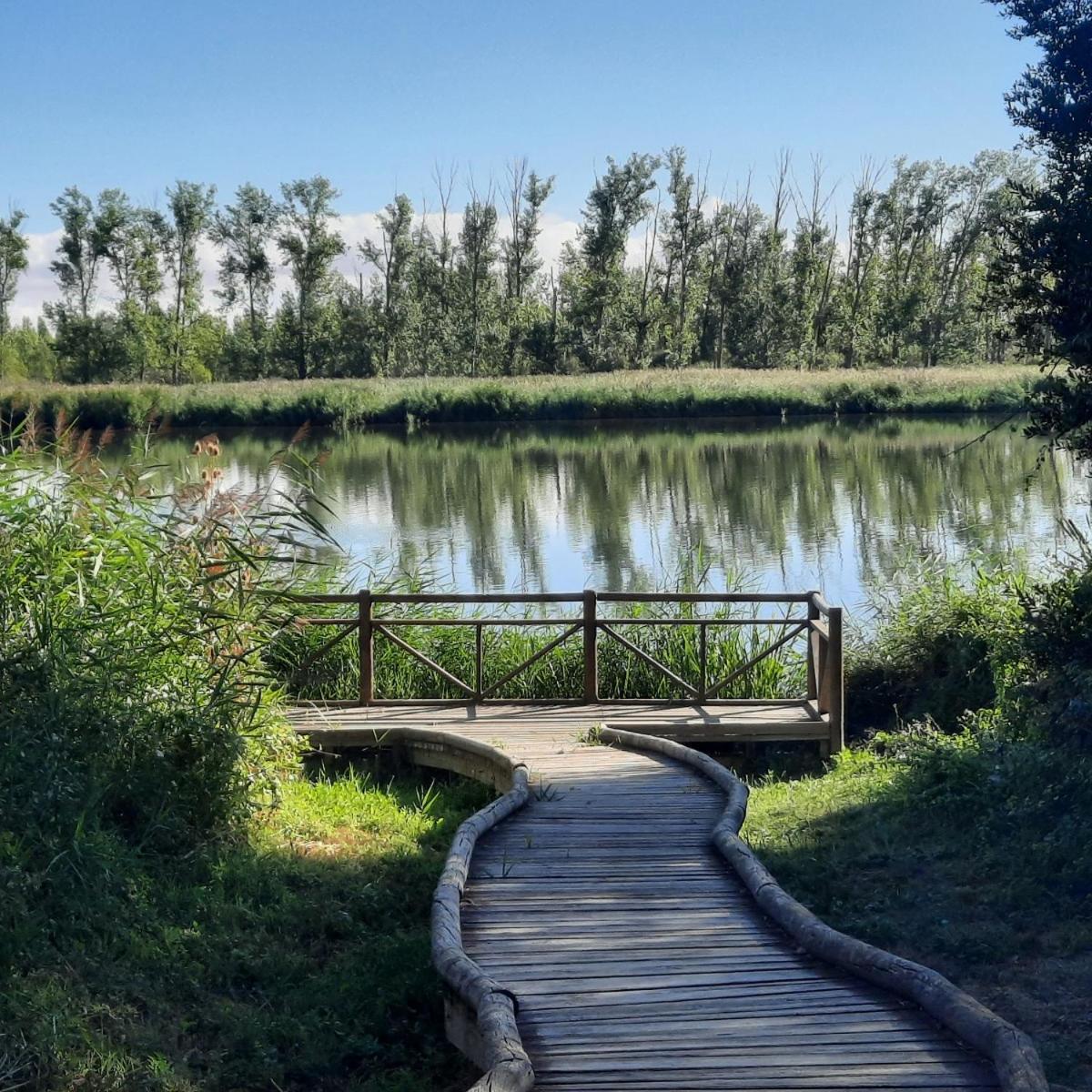 Beautiful Alamedas - Una Casa Rural Con Una Historia Unica Кастронунио Экстерьер фото