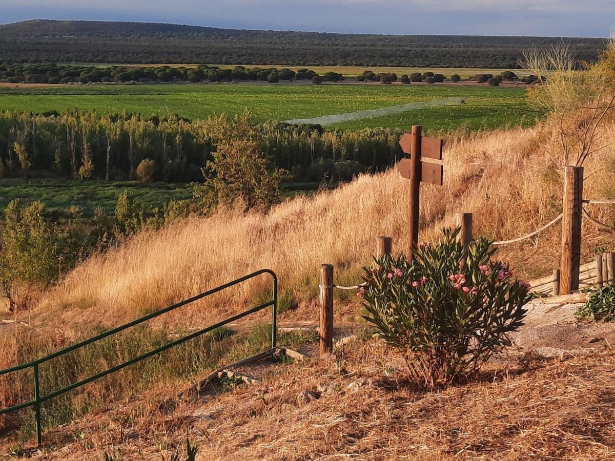 Beautiful Alamedas - Una Casa Rural Con Una Historia Unica Кастронунио Экстерьер фото